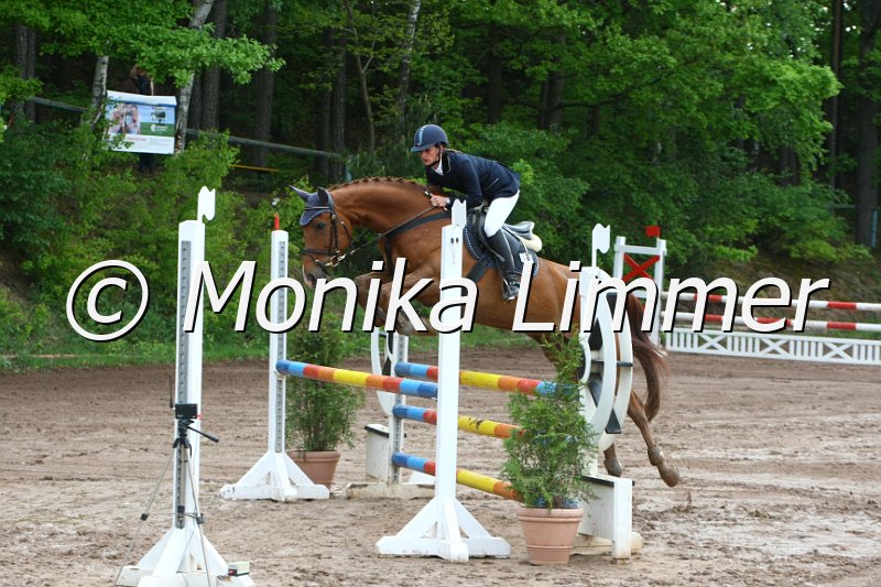 104M7361_Gracy Girl_Springpf_A.JPG